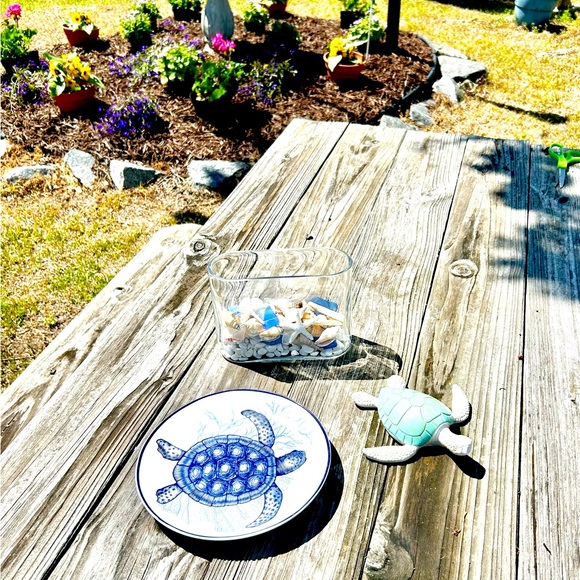 Turtle Plate - Picture 2 of 4